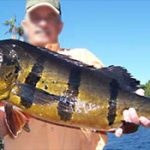 Robert temporary testimonial angler picture