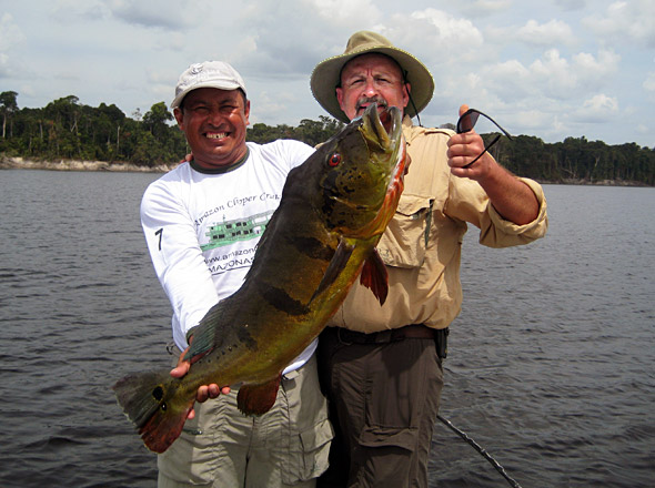 Expert peacock bass guide G with Jim Taylor and his 4th giant peacock bass of the week over 20 pounds! He had a great week of trophy peacock bass fishing the Rio Negro!