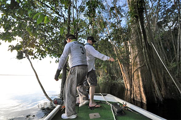 Peacock bass guide Jo holds the boat while Jim pitches a Woodchopper topwater prop bait back into a hole in the jungle!