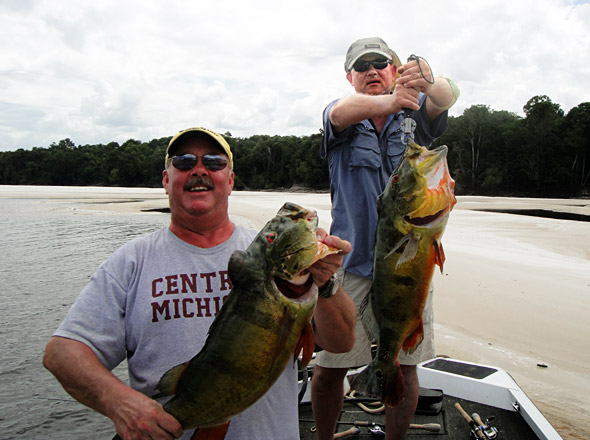 Mark D and Randy VanDam doubled up on 2 big Rio Negro Brazil peacock bass while fishing together!