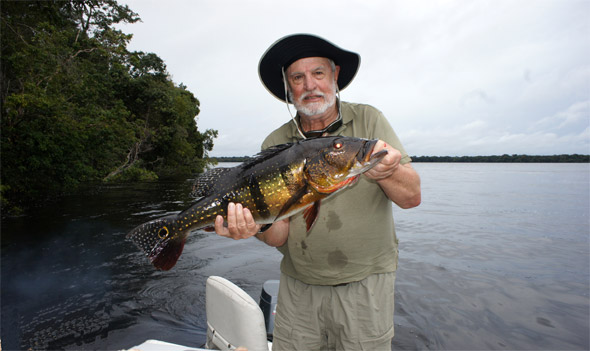 Michael Kinchen landed this beautiful 19 pound peacock bass on a jerkbait out of the Rio Negro in Brazil on February 29, 2012