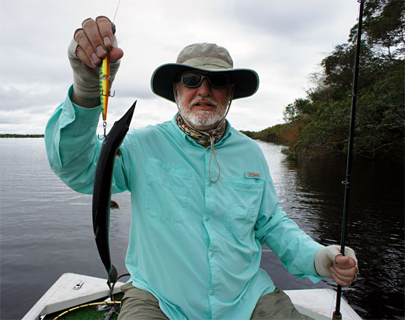 Michael Kinchen shows a small needle-head bicuda on jerkbait from the Rio Negro in Brazil