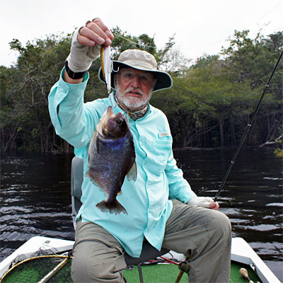 Michael Kinchen with a nice white piranha caught on a large jerkbait from the Rio Negro in Brazil