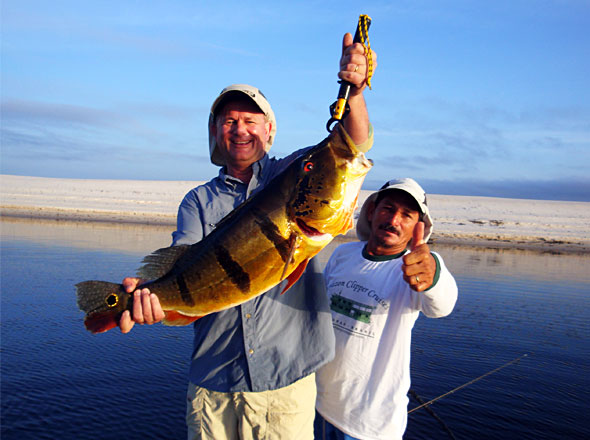 Randy VanDam gets in on the big Peacock Bass action too fishing with expert local guide Alligator!