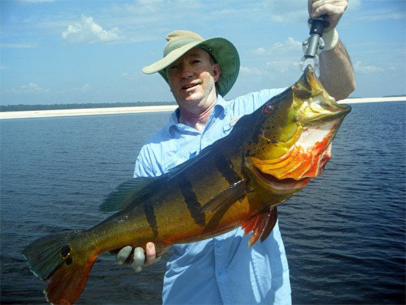 Another big 2-spotted peacock bass landed by Rick while fishing with Tony P during our January 2010 big peacock bass-fest on the Rio Negro!