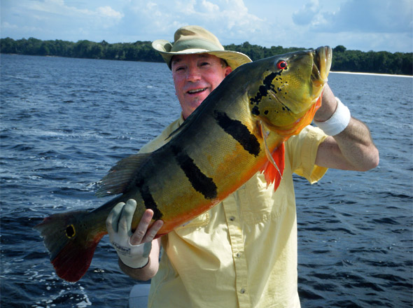 Rick catches a very colorful big peacock bass while fishing with Tony P!