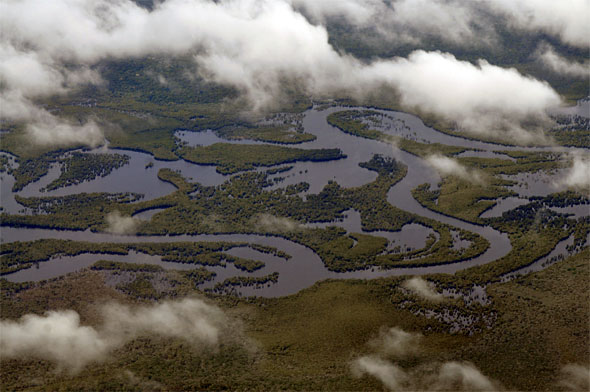 The Rio Negro and the Amazon jungle from the air February 2012 with the water 9 to 10 feet high.