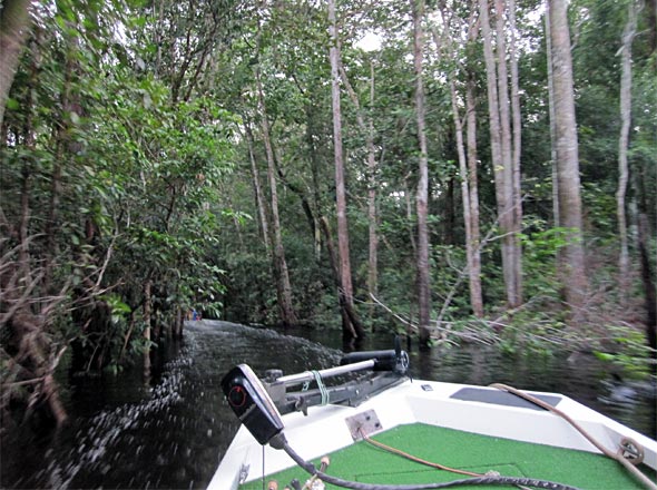 Know where you're going for sure when running the myriad of channels through the Amazon Jungle!