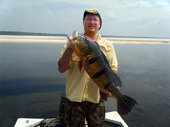 Tony lands a big peacock bass from another main channel sandbar while fishing the Rio Negro with Rick!