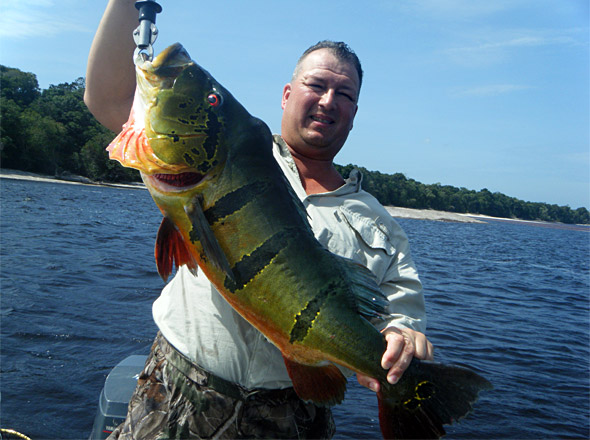 Tony P. with a huge peacock bass he caught while fishing with Rick. One of the biggest peacock bass of our big bass bash January 2010 bass fishing trip to the Rio Negro.